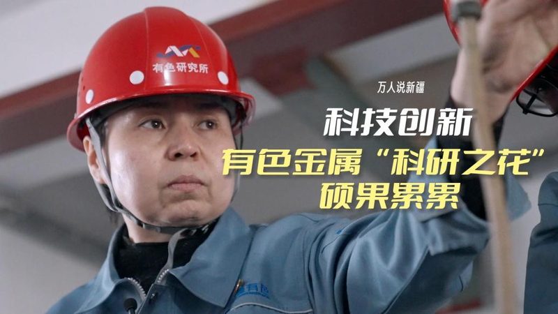 自研团队搭建：揭秘流程与成本考量**